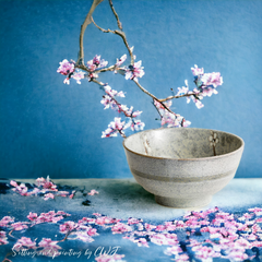 Handmade traditional "Early Spring - 春先" bowl Handmade Japanese traditional "Early Spring - 春先" bowl - Crafty-Clayworks