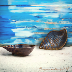 Handmade artistic "Conch" bowl - Crafty-Clayworks